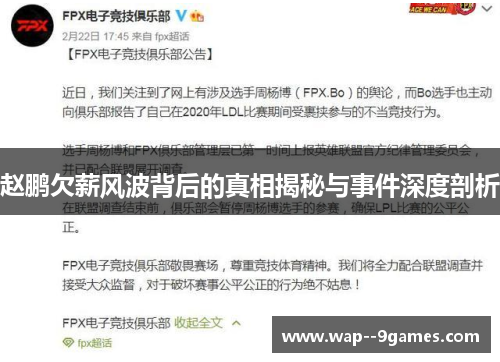 赵鹏欠薪风波背后的真相揭秘与事件深度剖析