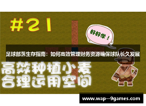 足球部落生存指南：如何高效管理财务资源确保球队长久发展