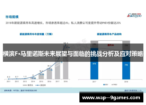 横滨F·马里诺斯未来展望与面临的挑战分析及应对策略 横滨F·马里诺斯未来展望与面临的挑战分析及应对策略