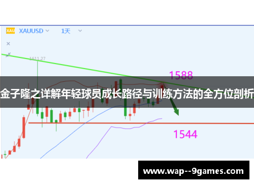 金子隆之详解年轻球员成长路径与训练方法的全方位剖析